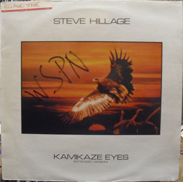 Steve Hillage - Kamikaze Eyes