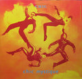 Chic - Chic Mystique (Remixes)