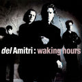 Del Amitri - Waking Hours