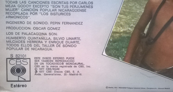Carlos Mejía Godoy y Los De Palacagüina - El Son Nuestro De Cada Dia