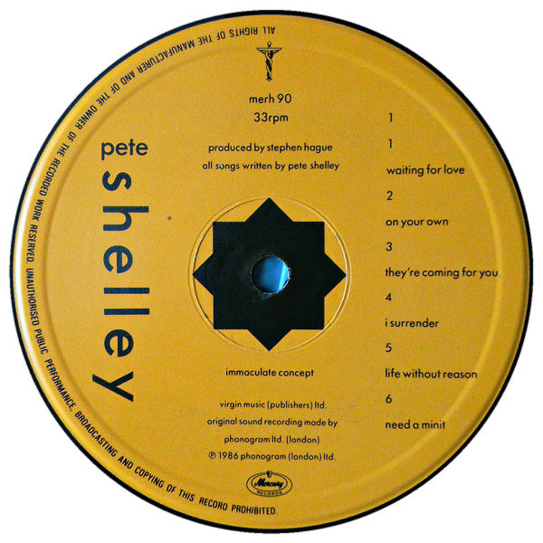 Pete Shelley - Heaven & The Sea