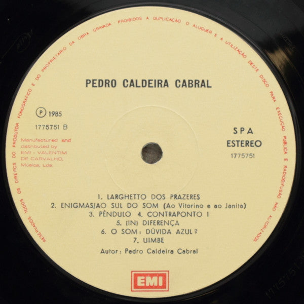 Pedro Caldeira Cabral - Pedro Caldeira Cabral