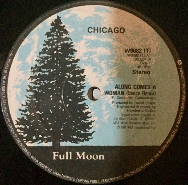 Chicago (2) - Along Comes A Woman (Dance Remix)