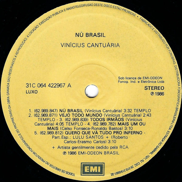 Vinicius Cantuária - Nu Brasil