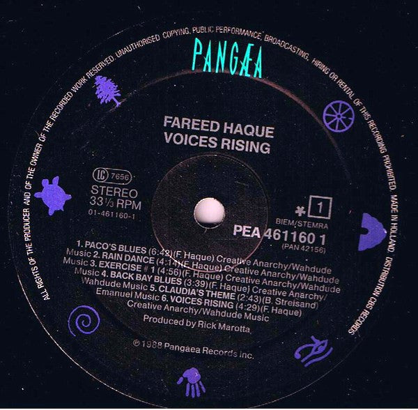 Fareed Haque - Voices Rising