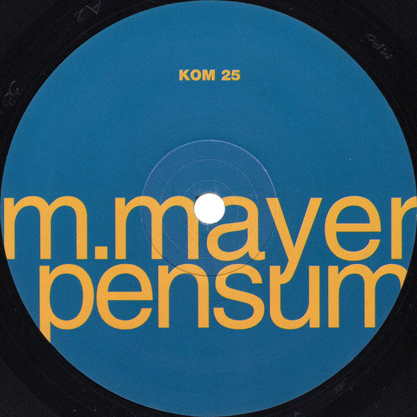 Michael Mayer - Pensum