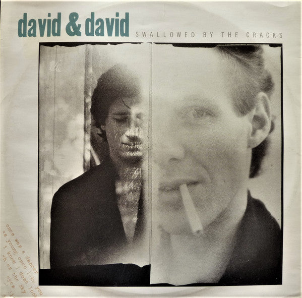 David + David - Swallowed By The Cracks