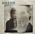 David + David - Swallowed By The Cracks