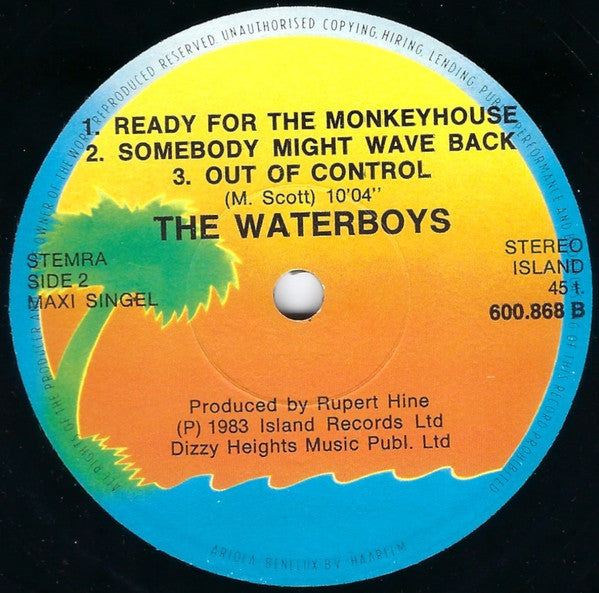 The Waterboys - A Girl Called Johnny