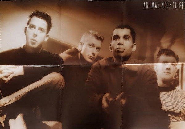 Animal Nightlife - Boys With The Best Intentions