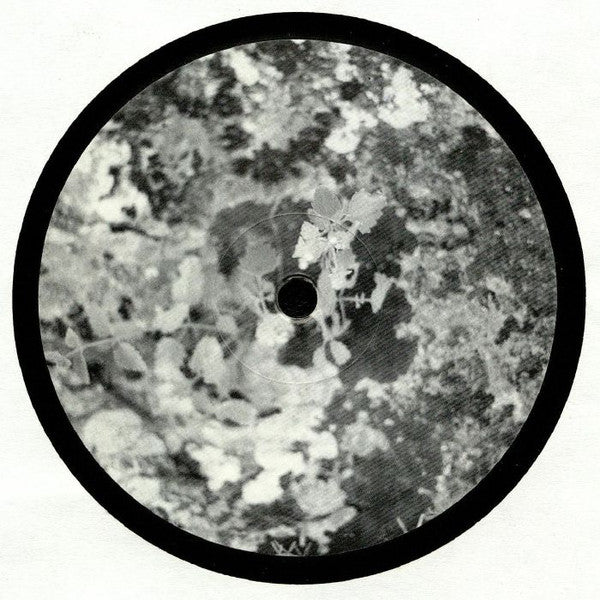 Pilgrims Of The Mind - Subtropiques: The Early Excursions (1993-1994)