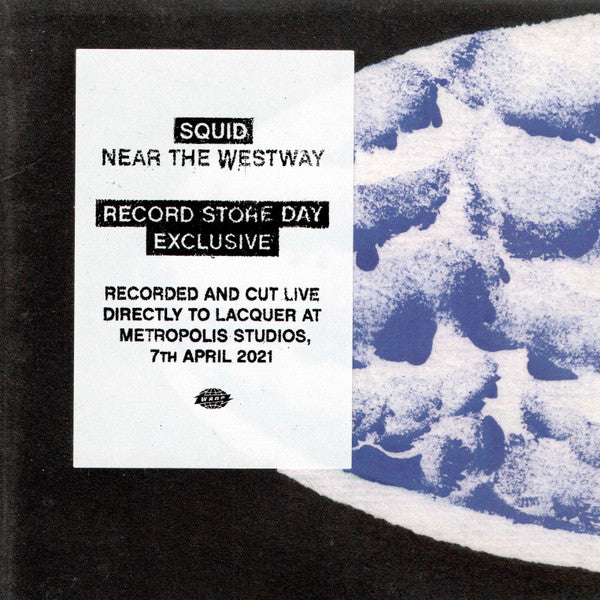 Squid (29) - Near The Westway