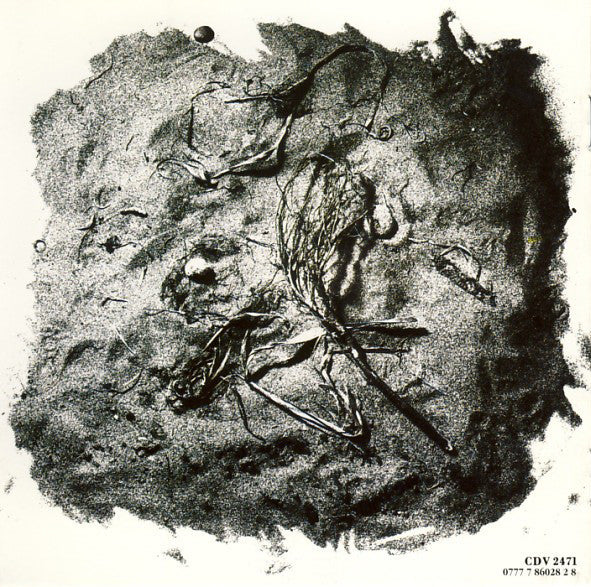 David Sylvian - Secrets Of The Beehive