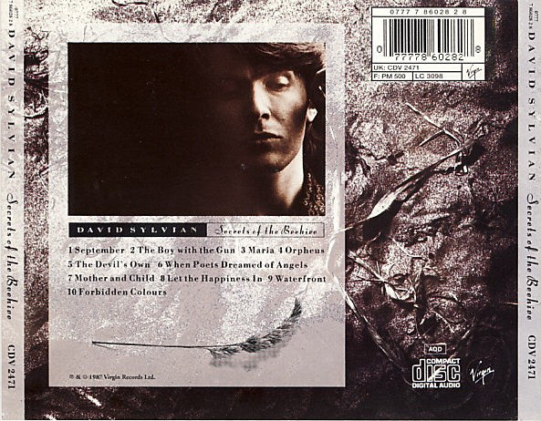 David Sylvian - Secrets Of The Beehive