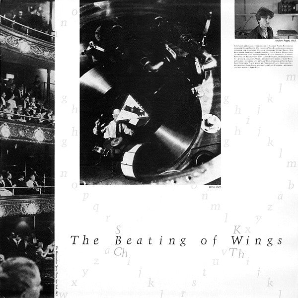 Andrew Poppy - The Beating Of Wings