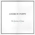 Andrew Poppy - The Beating Of Wings