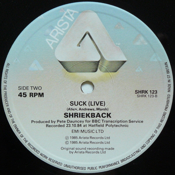 Shriekback - Nemesis (Extended)