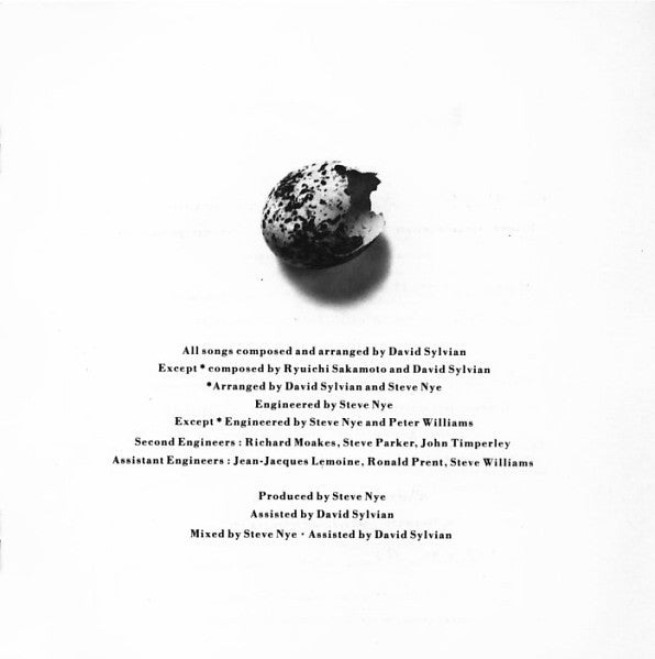 David Sylvian - Secrets Of The Beehive