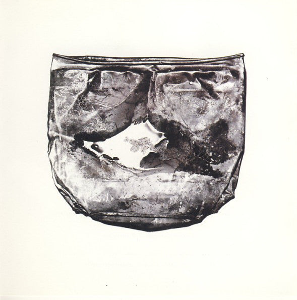 David Sylvian - Secrets Of The Beehive